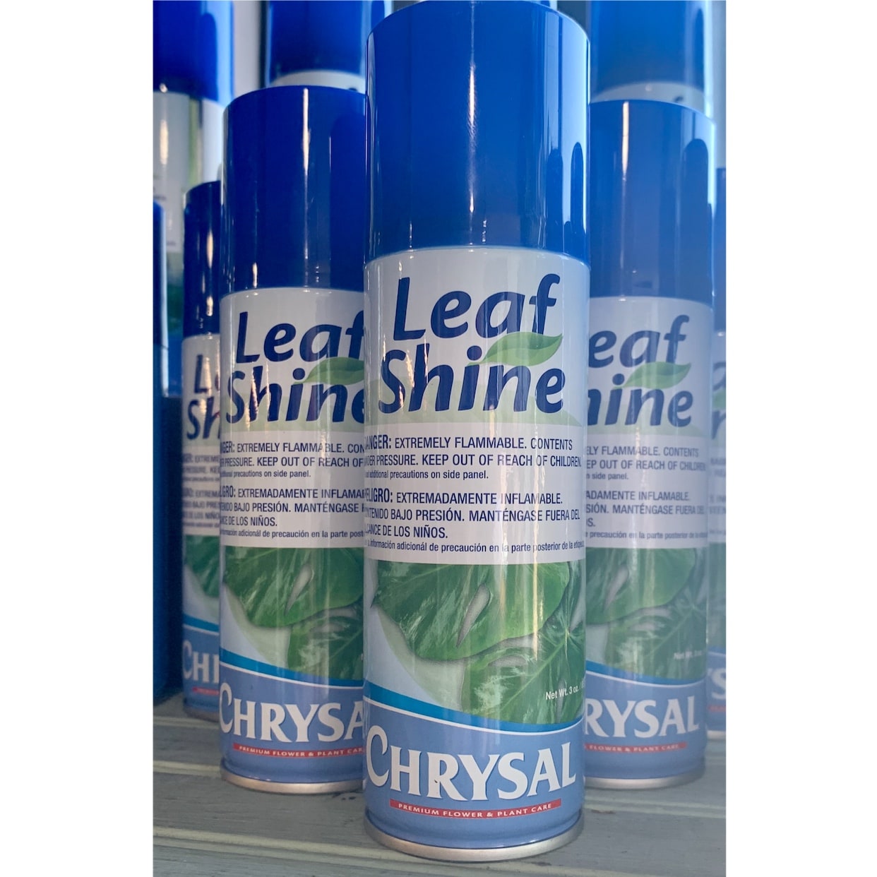 Leaf Shine